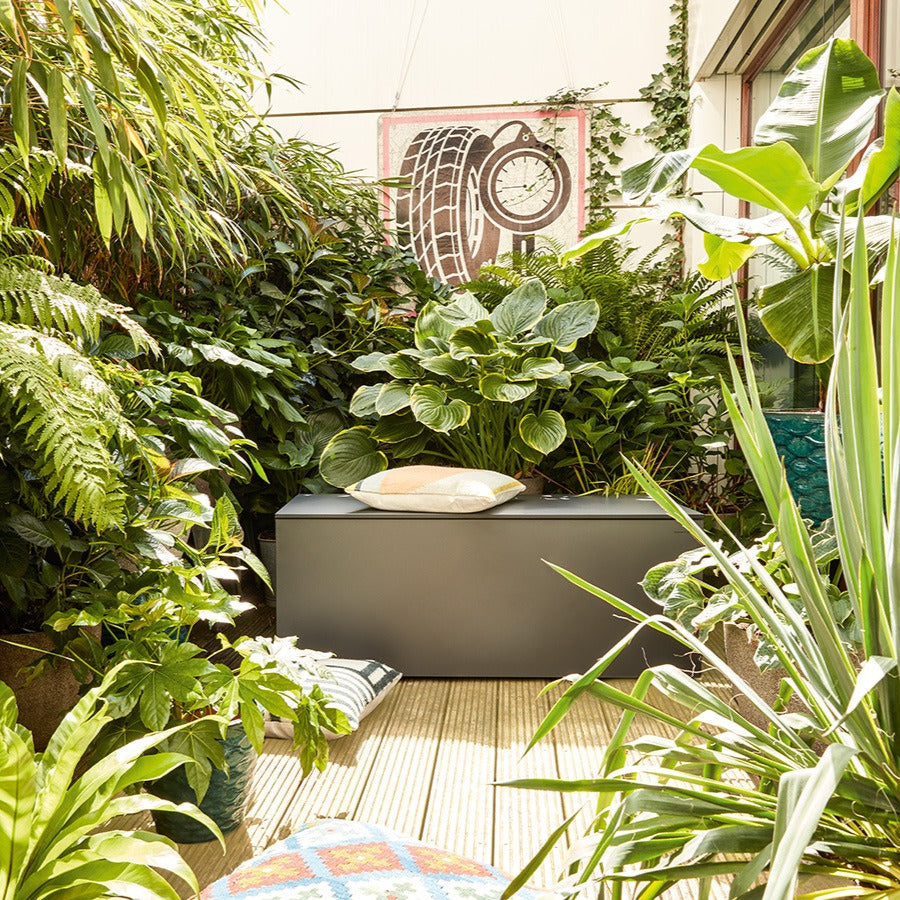 Conmoto I El Pecho Kissentruhe