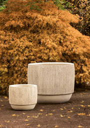 Domani Moya Pflanzkübel aus Terracotta in Weiß, zwei Größen vor herbstlichem Ahorn