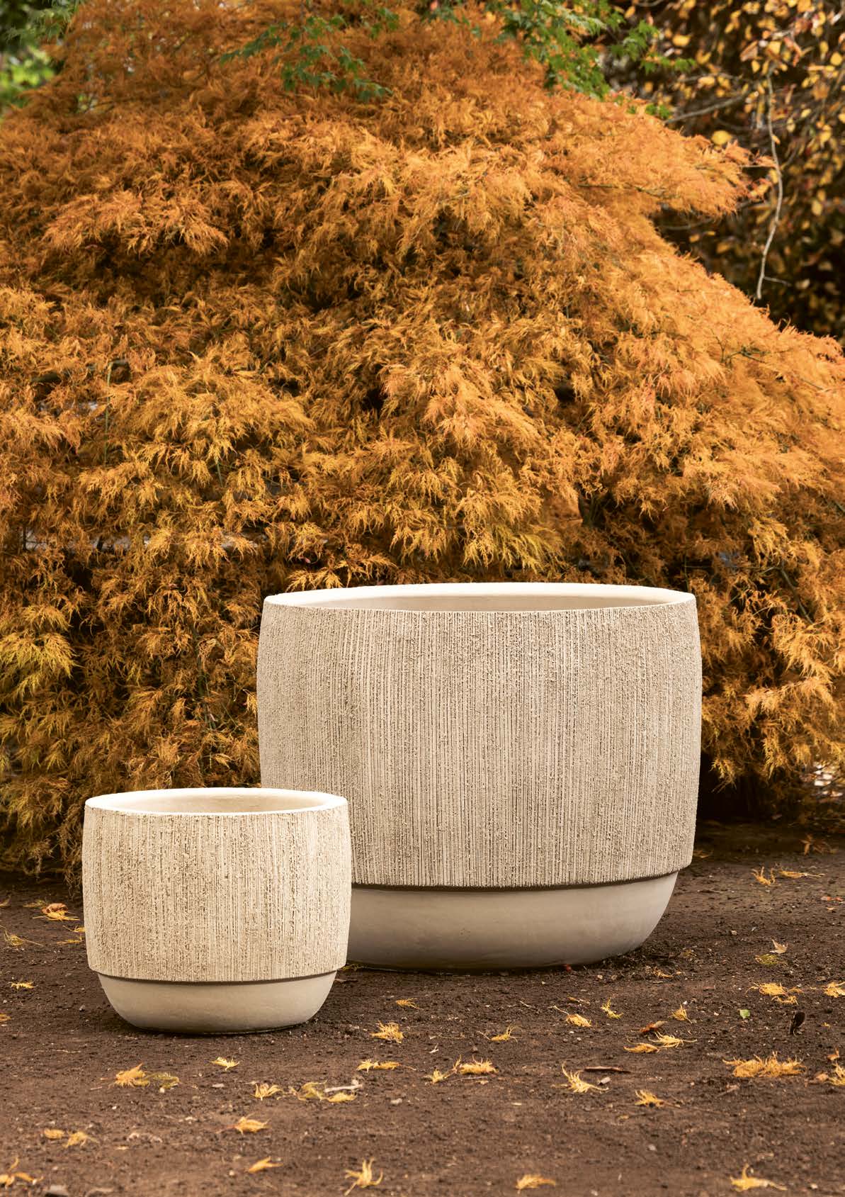 Domani Moya Pflanzkübel aus Terracotta in Weiß, zwei Größen vor herbstlichem Ahorn