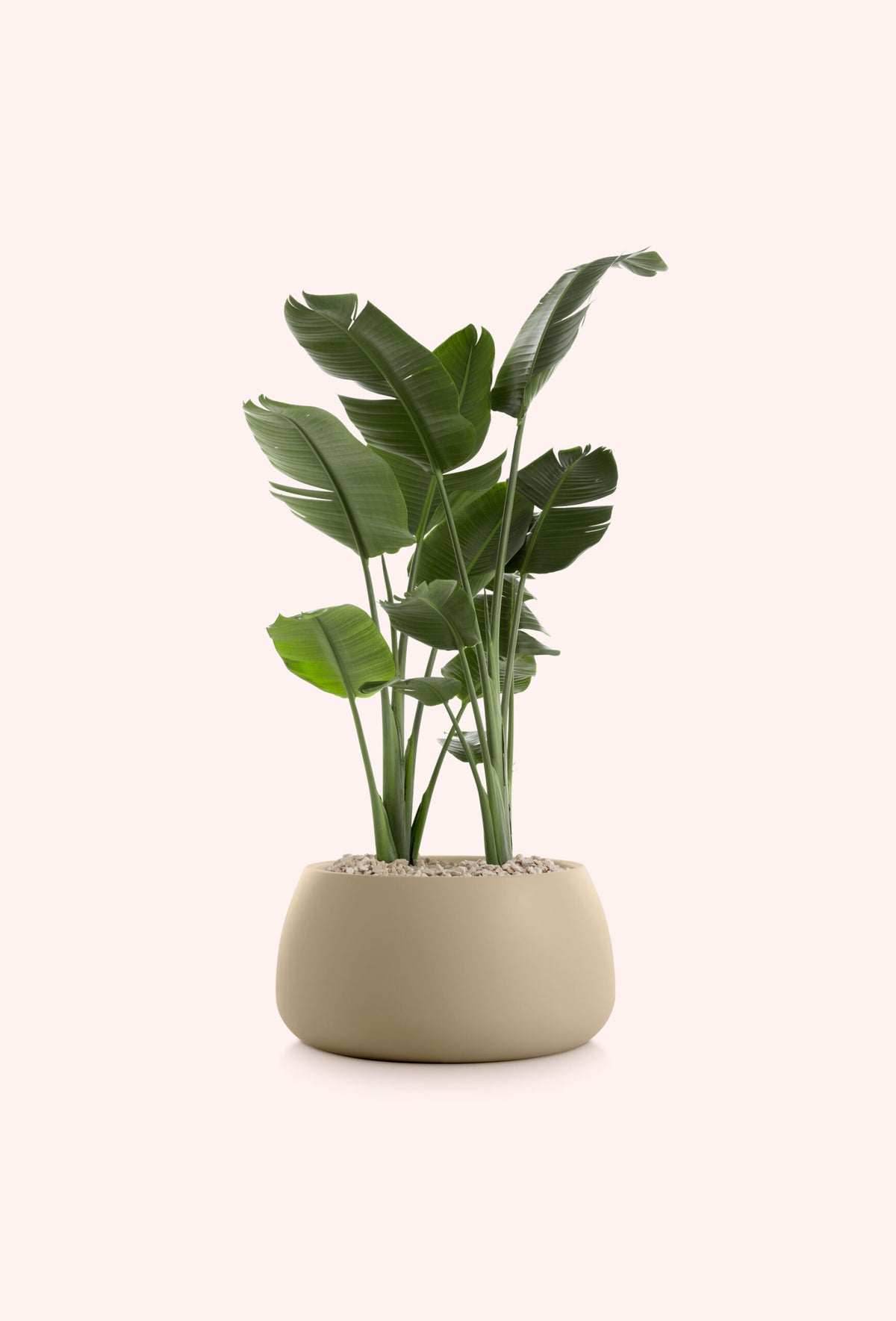diabla Gobi Blumentopf 80 cm, rund – Garten‑Stuhl