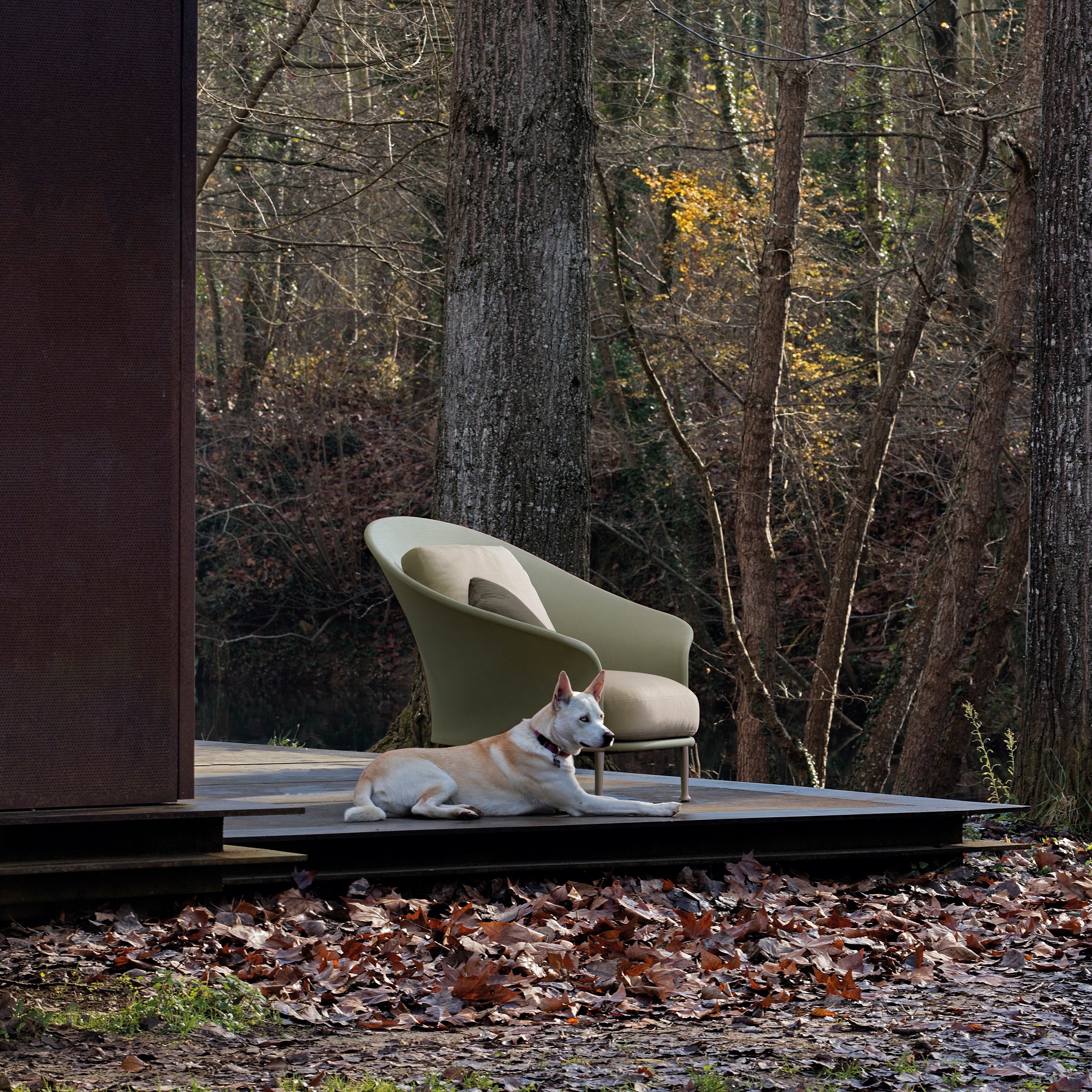 expormim I Liz Chair XL