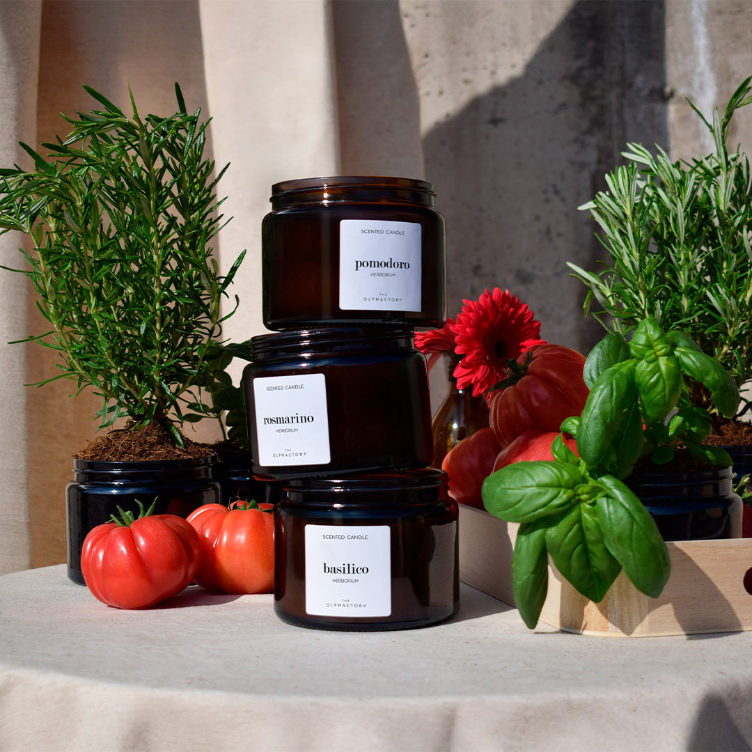 Scented Candle Rosmarino mit Kräuterduft
