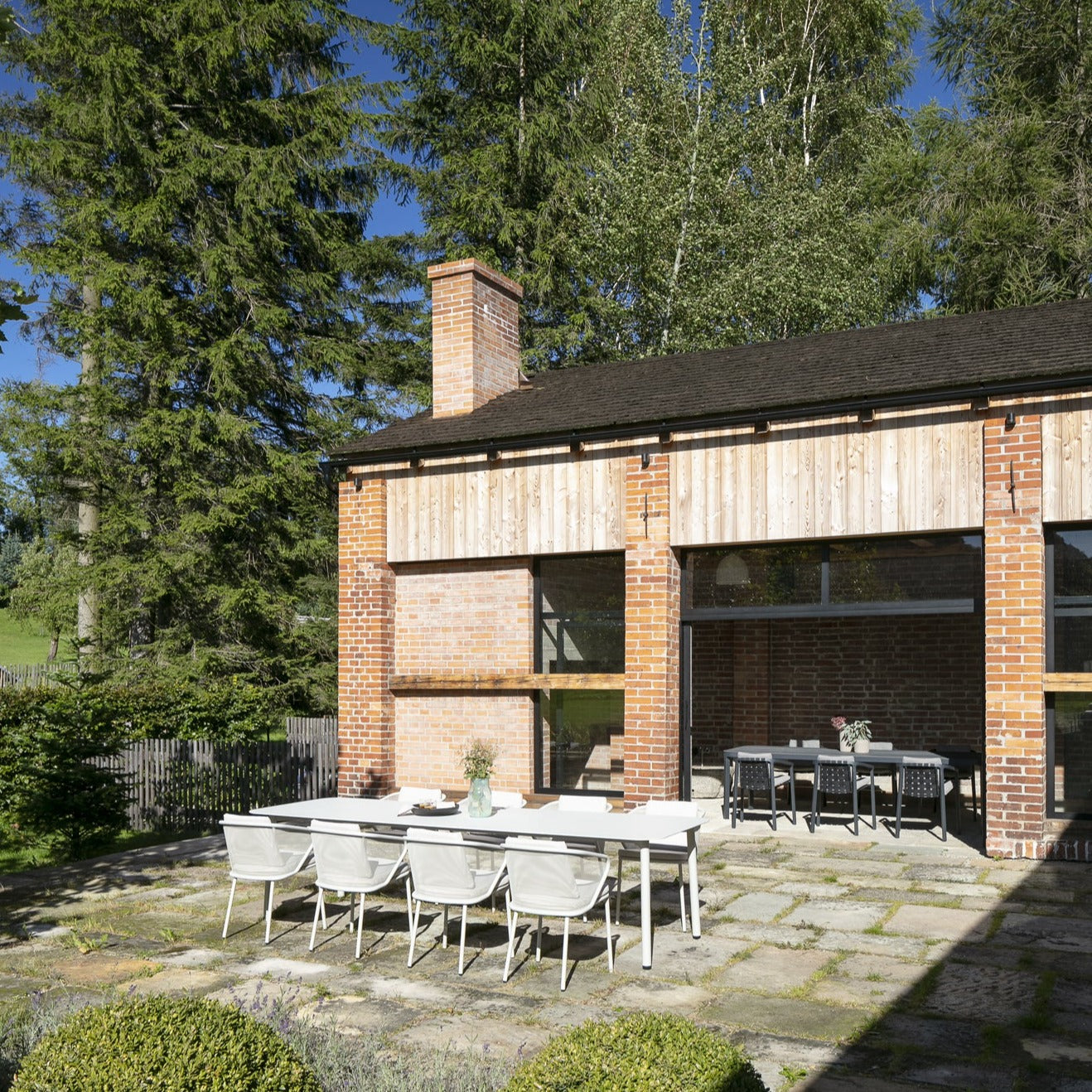 Todus I Condor Armchair