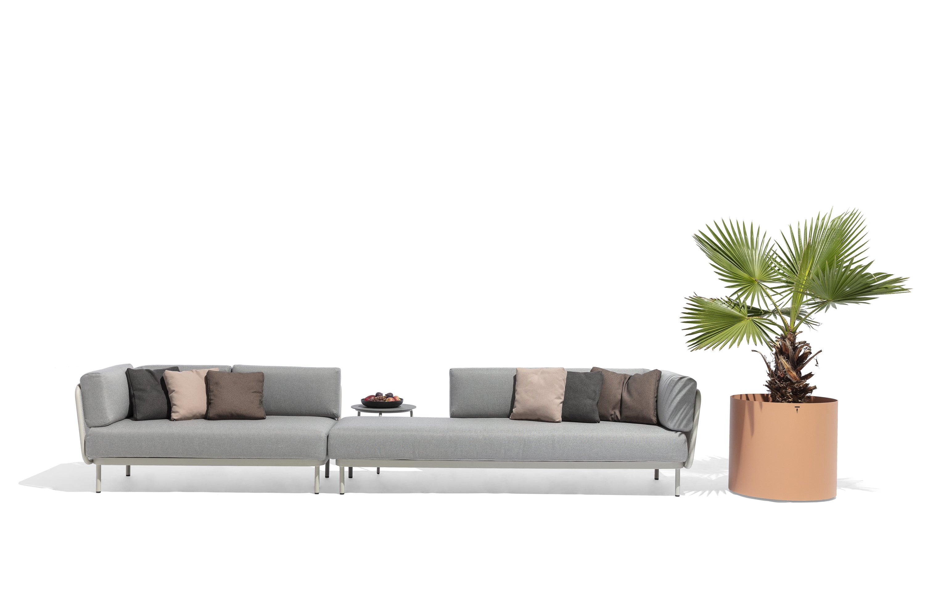 Todus I Verdi Blumentopf