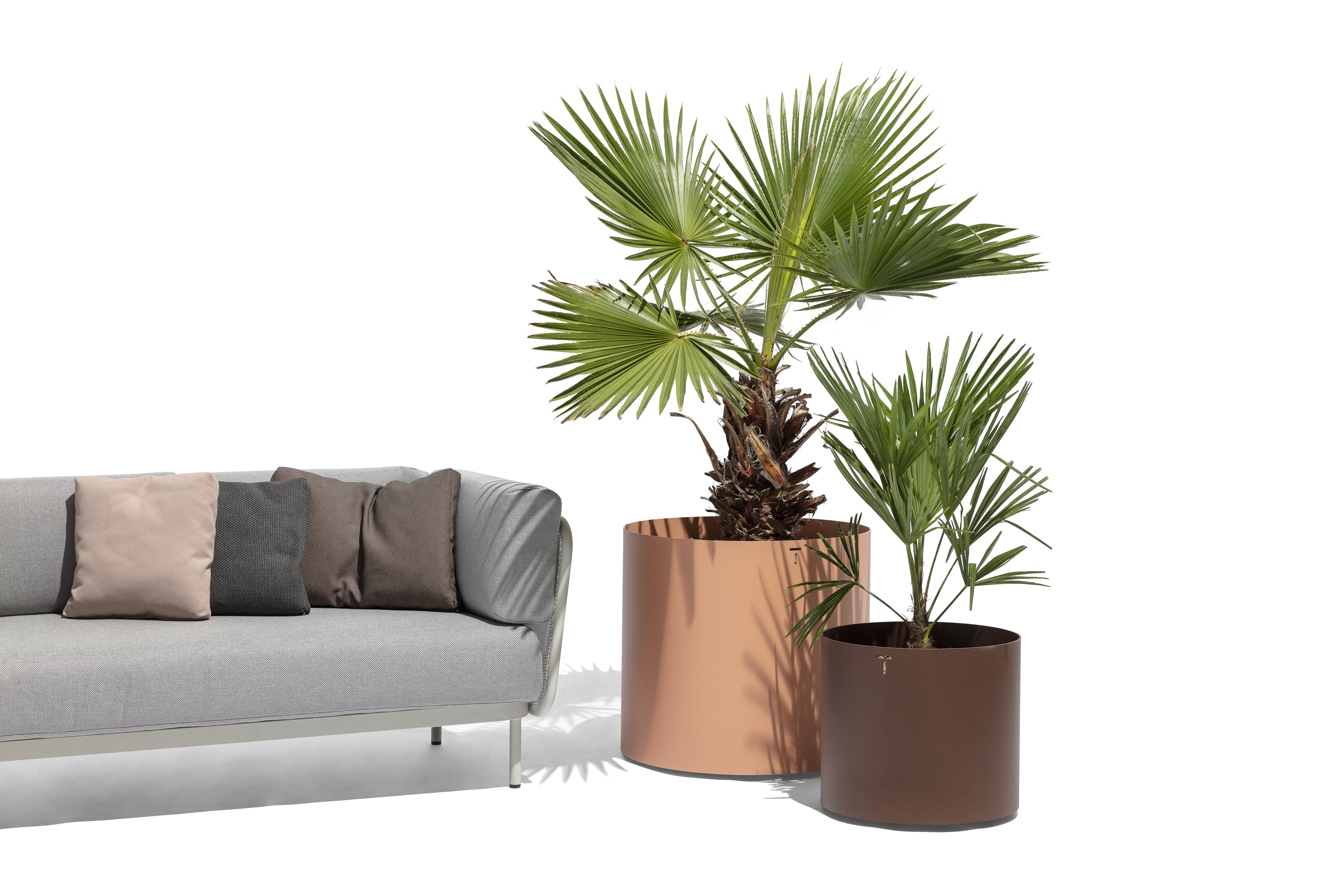 Todus I Verdi Blumentopf