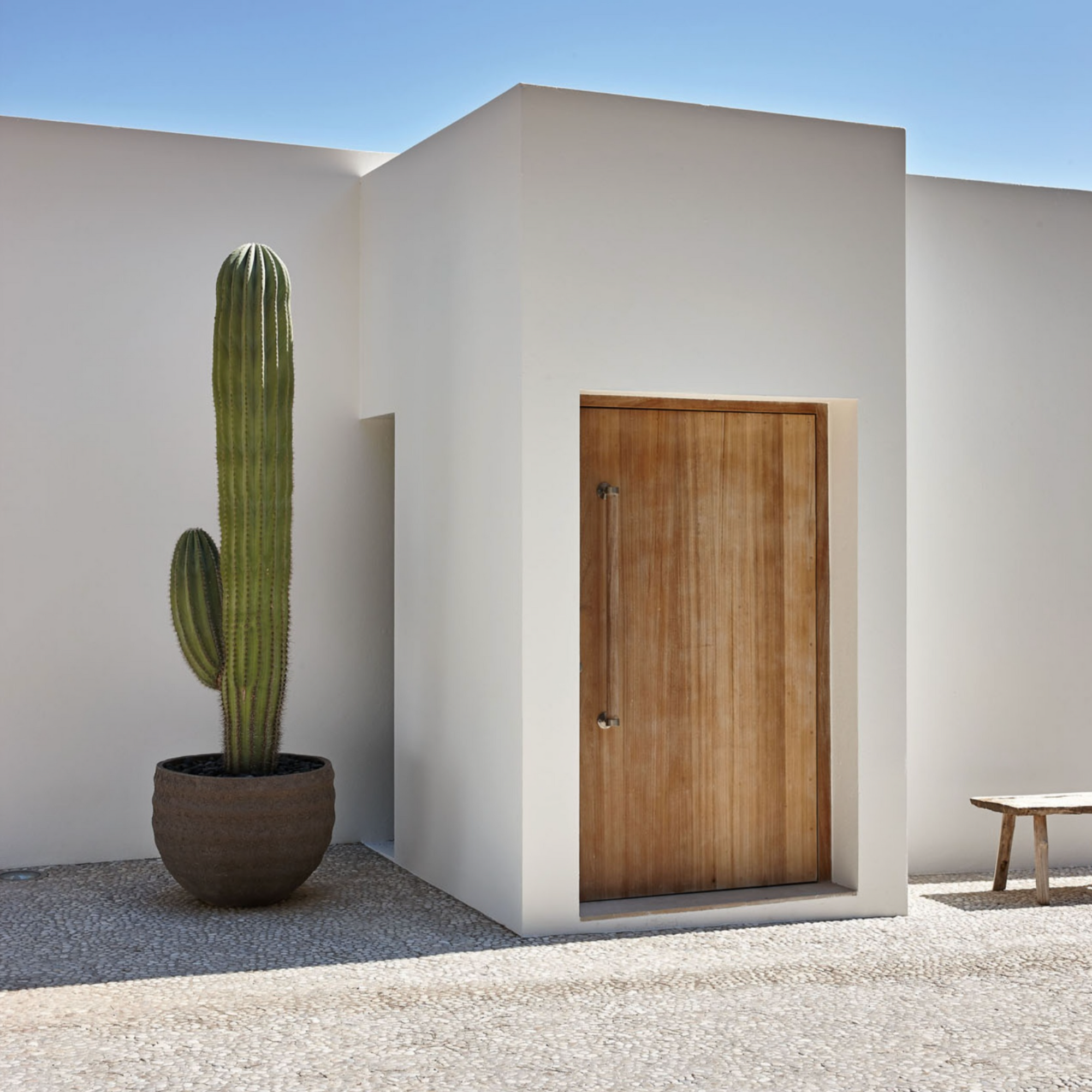 Atelier Vierkant UR90 mit einem Kaktus vor einer weißen Hauswand auf Mallorca.