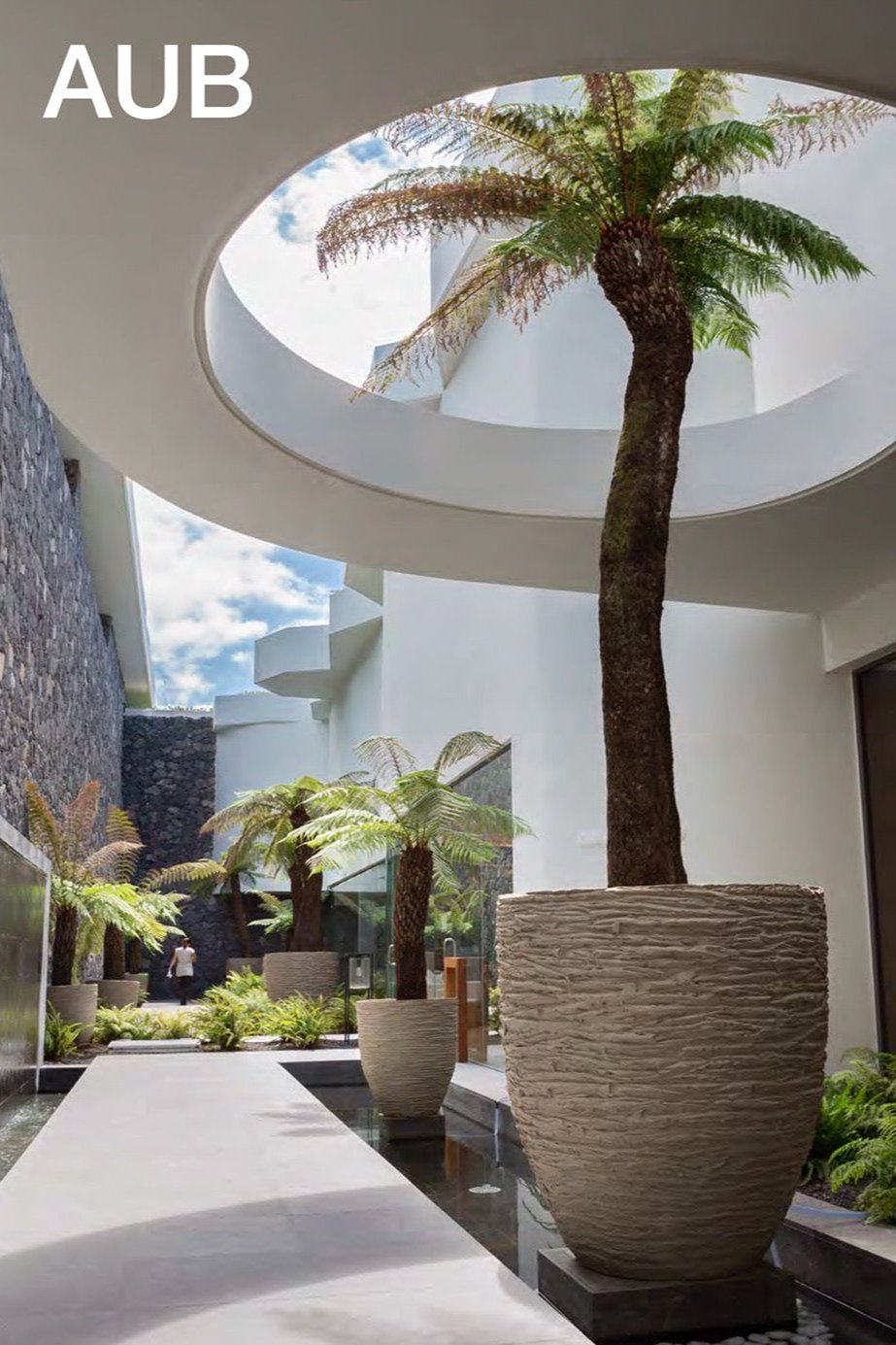 Diese Pflanzgefäße sind ideal, um vertikale Akzente in Außenbereichen zu setzen. Sie bieten einen Kontrast zu horizontalen Linien und schaffen ein Gefühl von Tiefe.