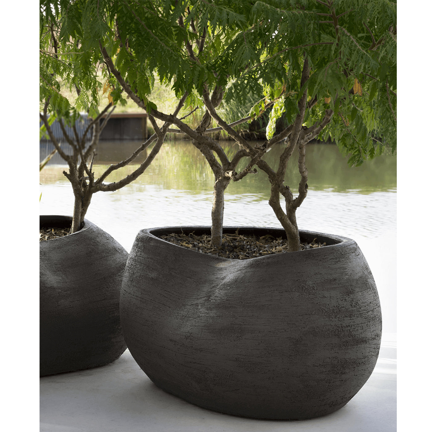 Das Modell EM60 misst 60x39cm, wiegt 30kg und fasst 44l. Es bietet eine kompakte, aber stilvolle Lösung für Ihre Pflanzen.