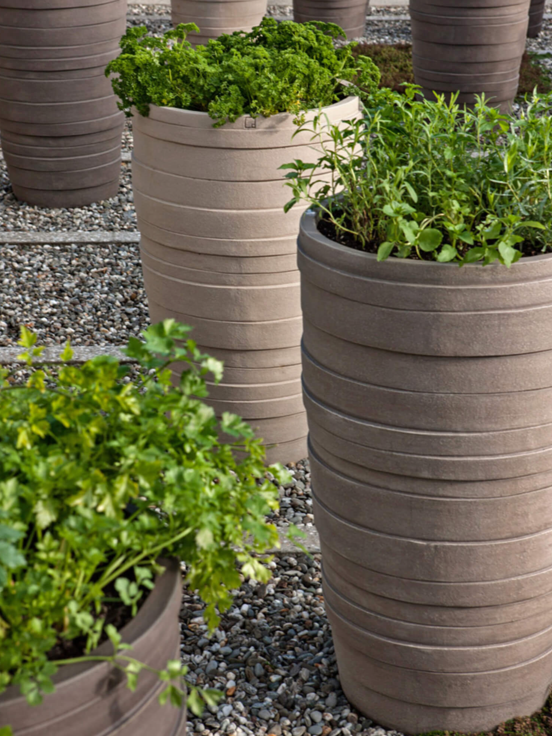 Die frostfeste Terrakotta des MF-Gefäßes ist robust und wetterbeständig, sodass es das ganze Jahr über draußen bleiben kann.