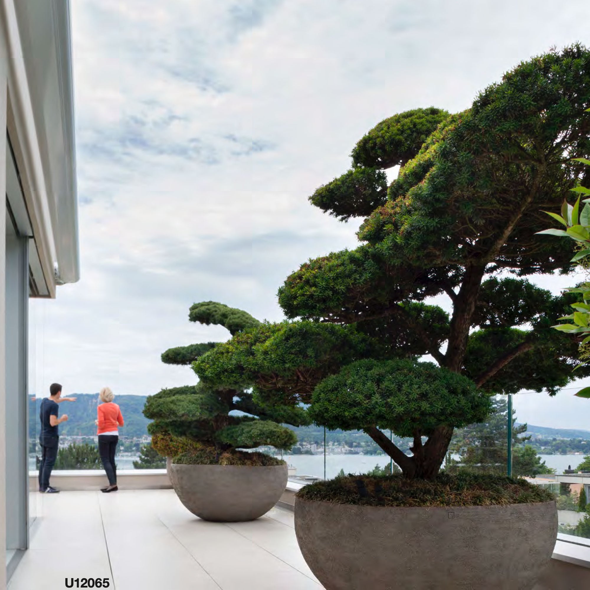 Zwei Atelier Vierkant Gefäße U12065 in grau mit jeweils einem Bonsai bepflanzt , stehen auf einer Dachterrasse mit weißen Fliesen.