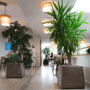 Atelier Vierkant BC50 Gefäße stehen in einem Büro . Die Schönen Kübel sind in grau.