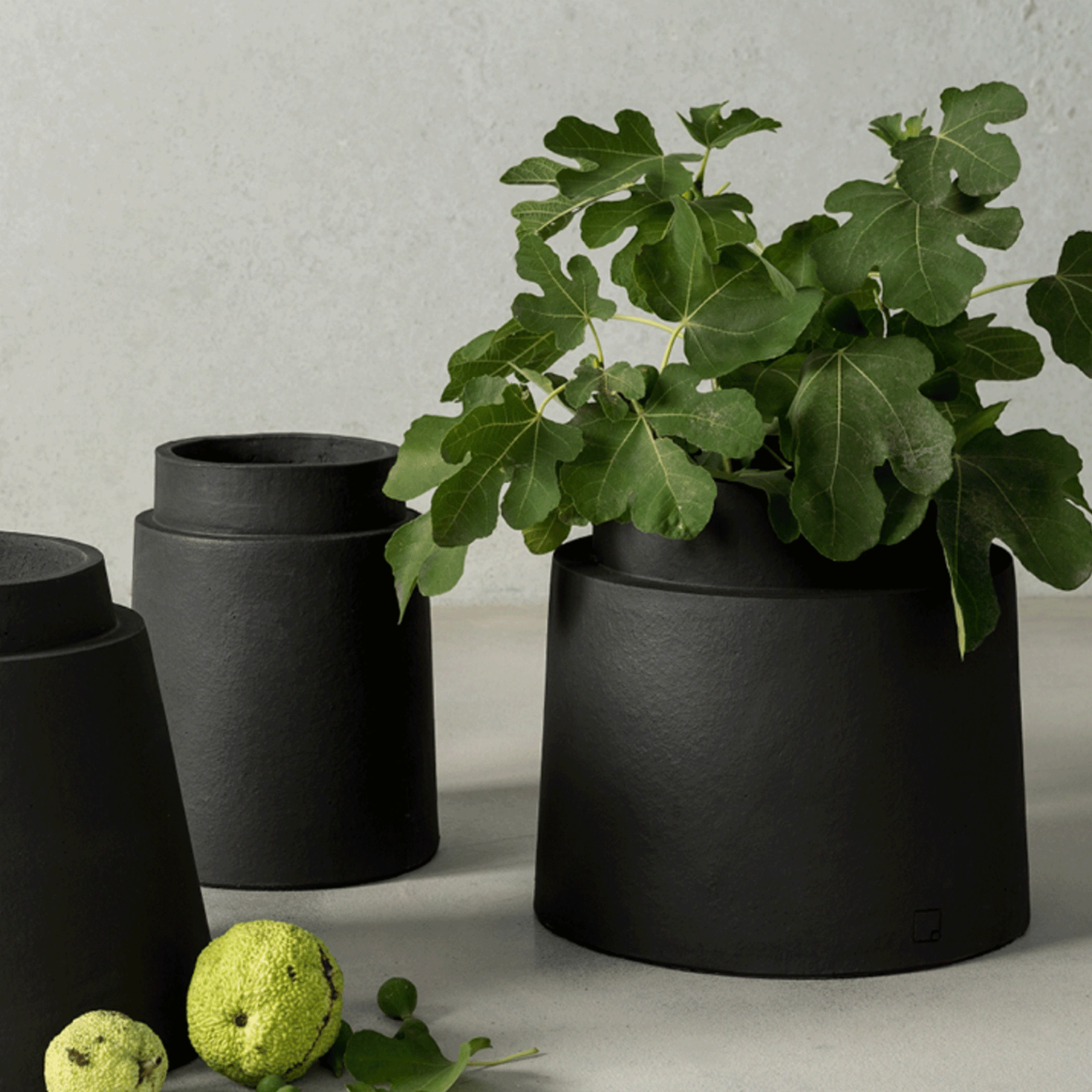 Die neue Atelier Vierkant Collection Ricarda besteht aus 3 Größen. Auf diesem Bild sehen Sie die Gefäße GRS40 mit einer grünen Pflanzen sowie die Vase GS. Im Vordergrund sehen Sie 2 hellgrüne Früchte