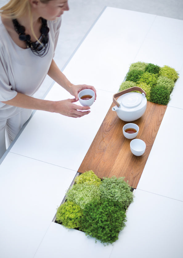 Ego Paris Extrados Fach gefüllt mit Pflanzen