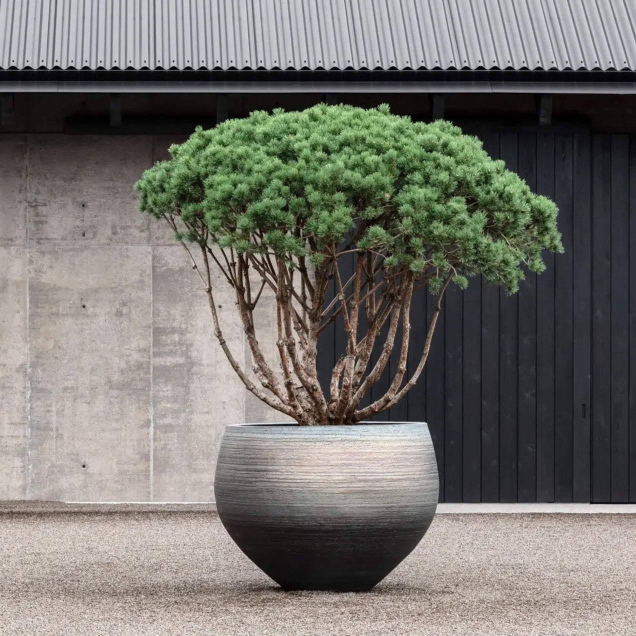 Die Töpfe der NUUK-Kollektion sind 60 cm breit, 48 cm hoch und wiegen 40 kg. Sie sind robust und sofort lieferbar.