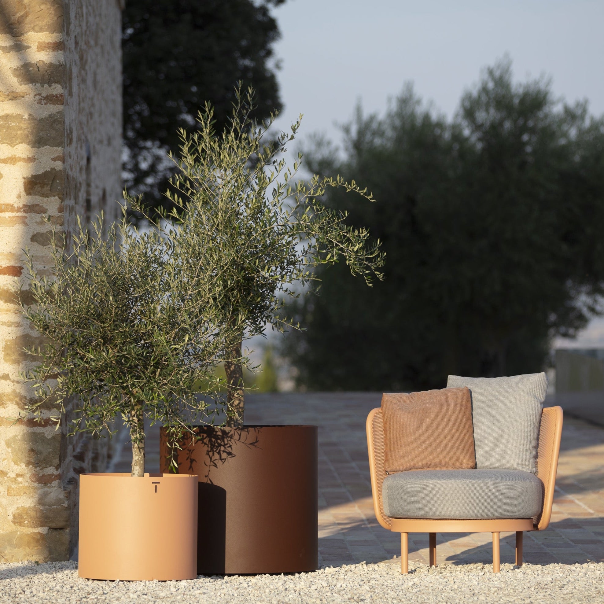 Todus I Baza Club chair