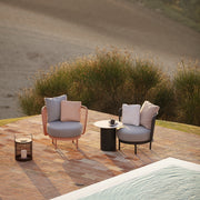 Todus I Baza Club chair