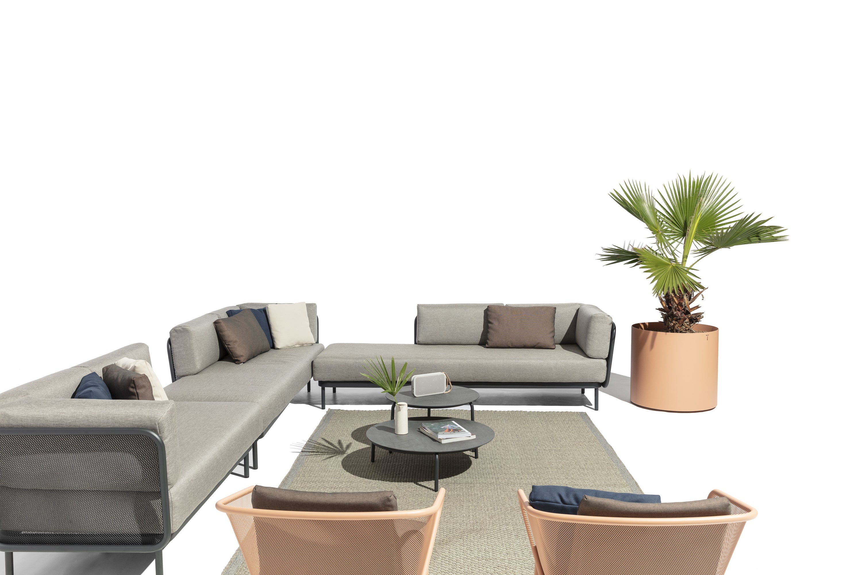 Todus I Verdi Blumentopf