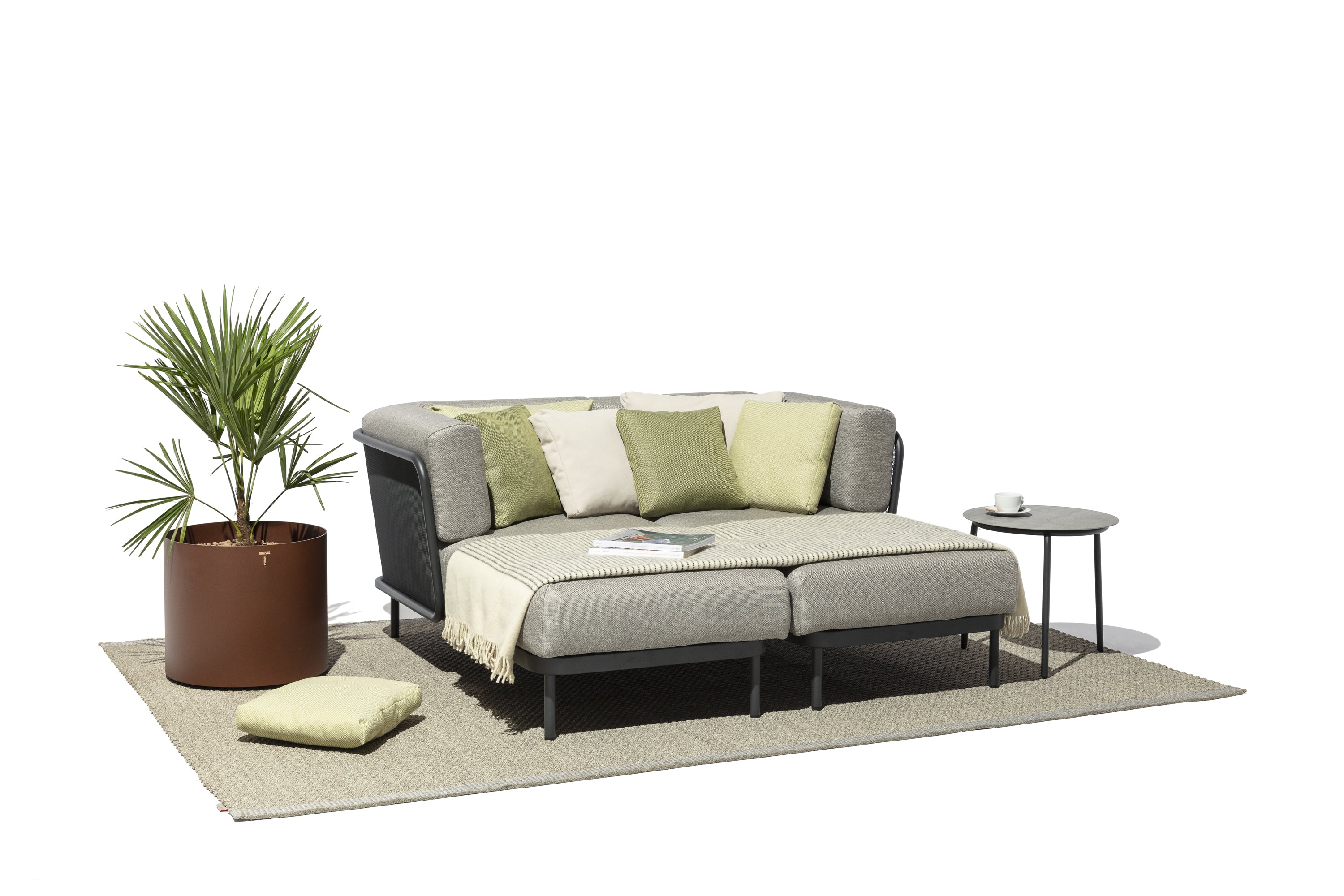 Todus I Verdi Blumentopf