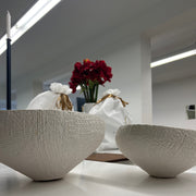 EDG I Schalen Set in Muschelstruktur