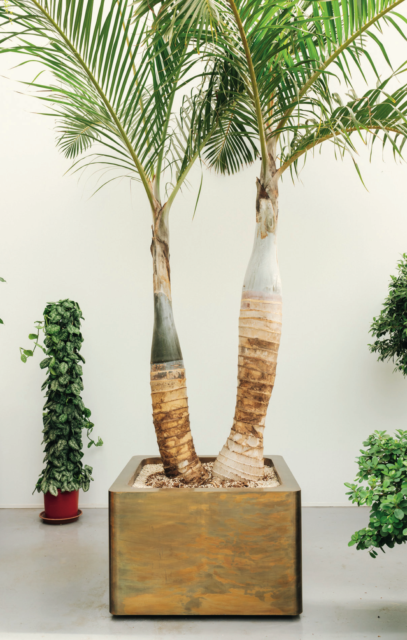 Lviv I Brass Cubic Planter