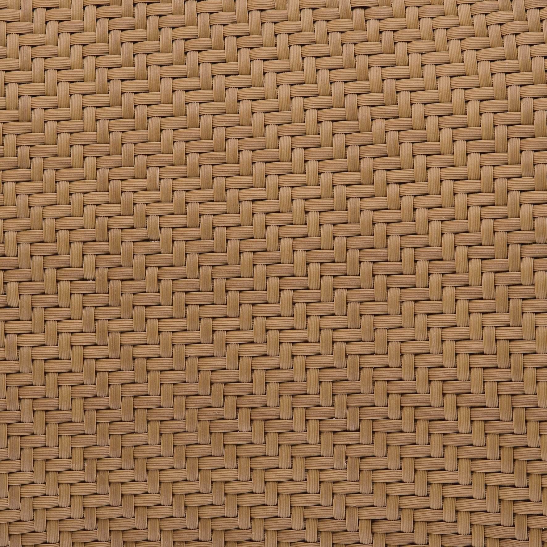 Point I Charleston Hochlehner