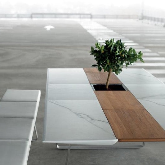 Ego Paris Extrados Fach gefüllt mit einem Baum