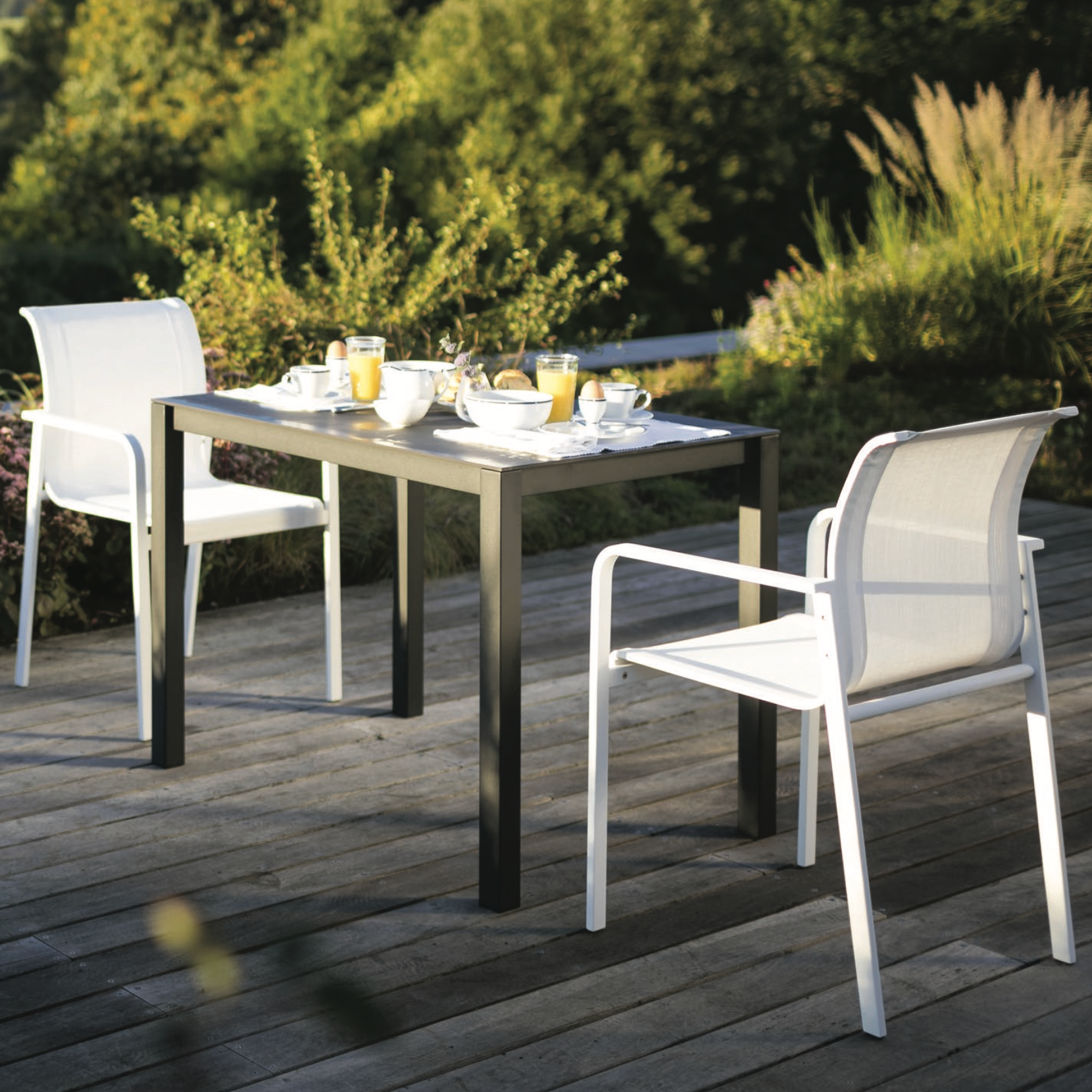 Todus I Puro Tisch in verschiednen Größen