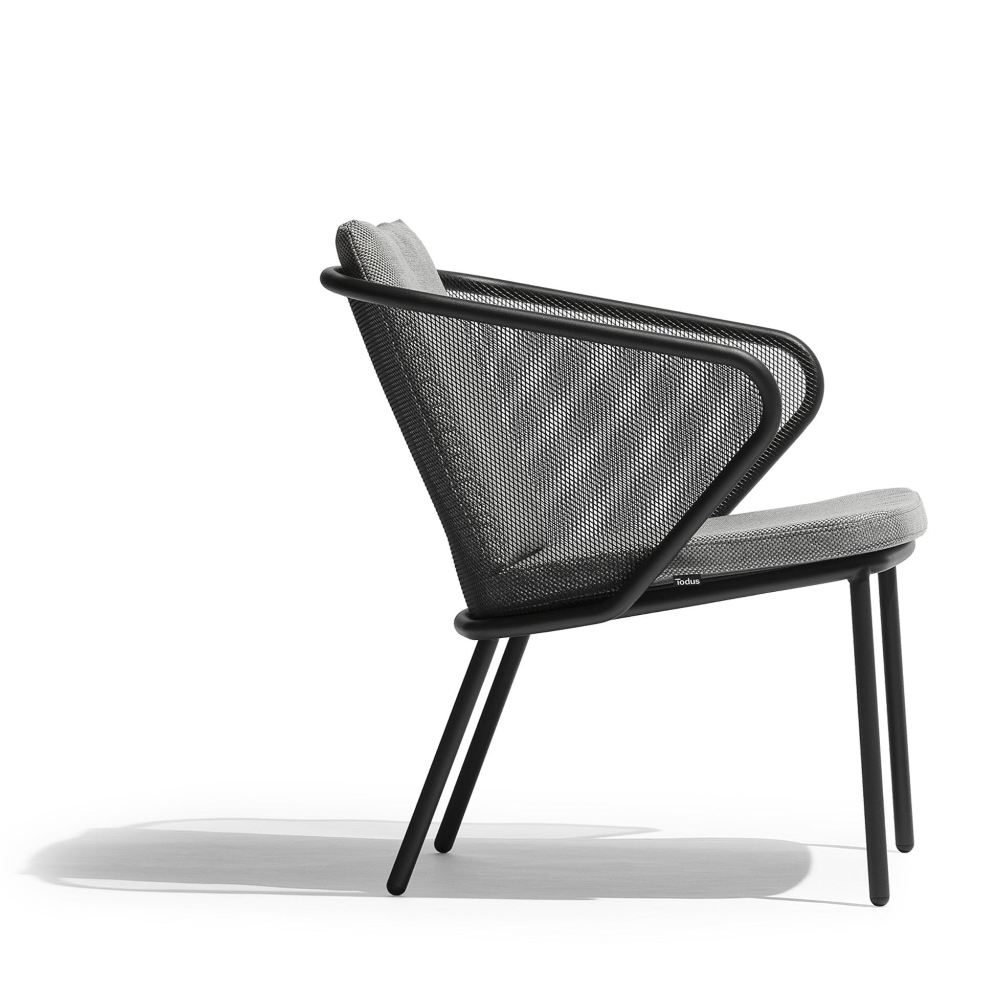 Todus I Condor Low Armchair