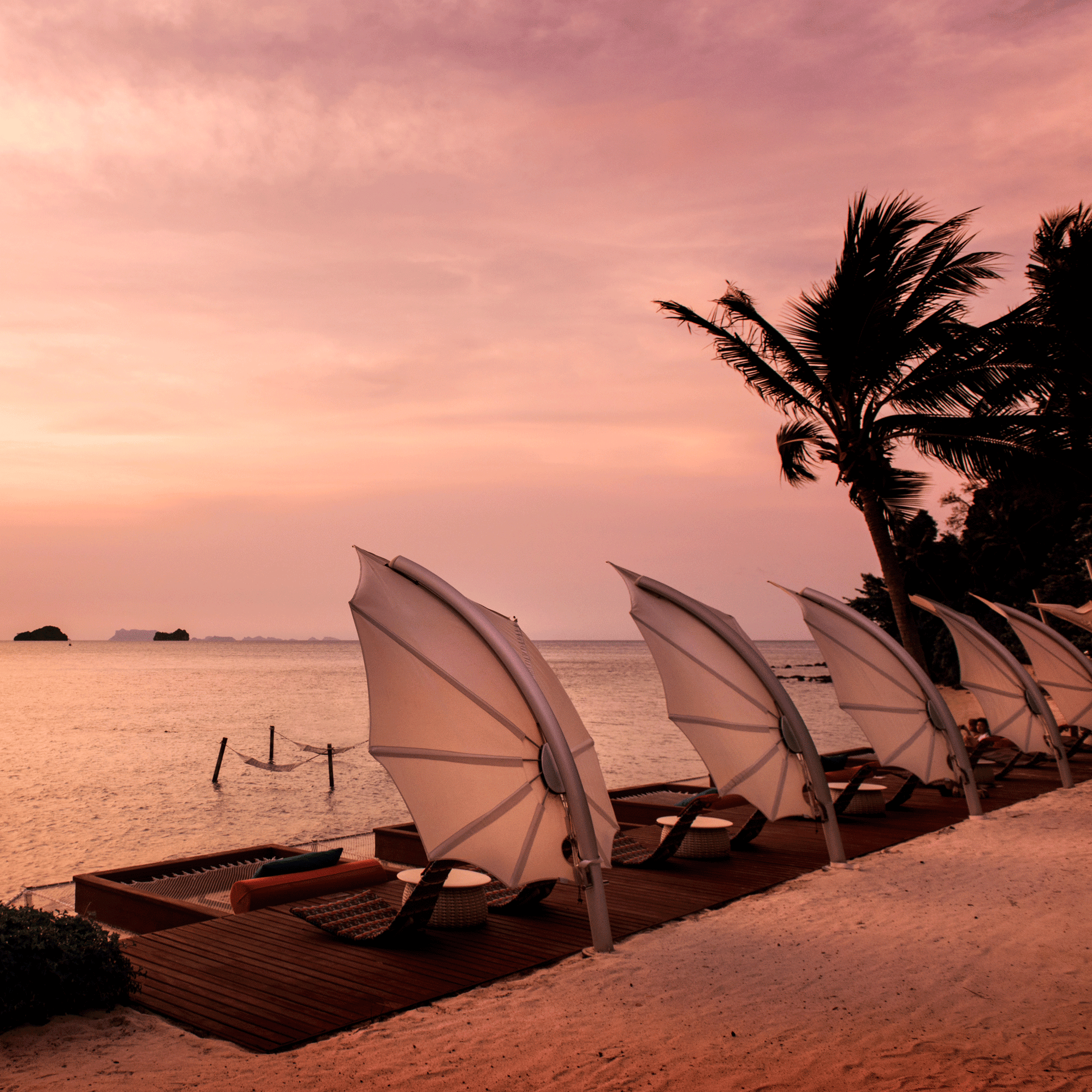 5 weiße Umbrosa Sonnenschirm Icarus stehen bei einem Sonnenuntergang am Strand.