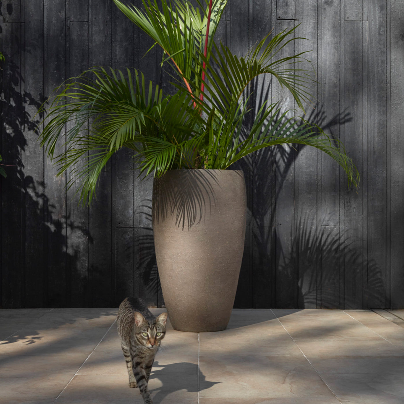 Graues SY Terrakotta Pflanzgefäß mit warmem Schimmer im Sonnenlicht