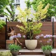 Handgefertigte U Keramik Pflanzgefäß Serie von Atelier Vierkant mit halbkugelartiger Form