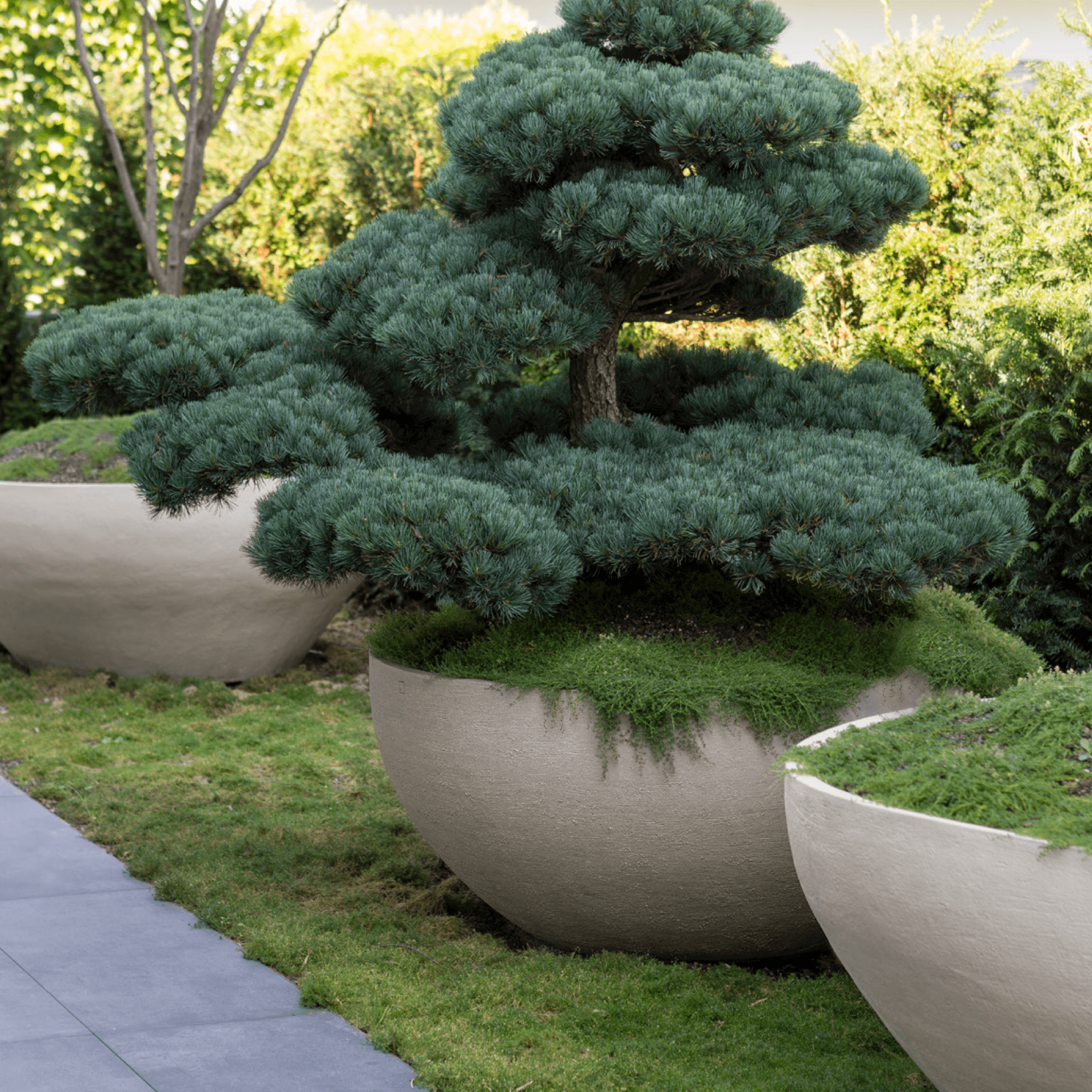 Atelier Vierkant U12065 Pflanzgefäß mit Durchmesser 120 cm und Höhe 65 cm