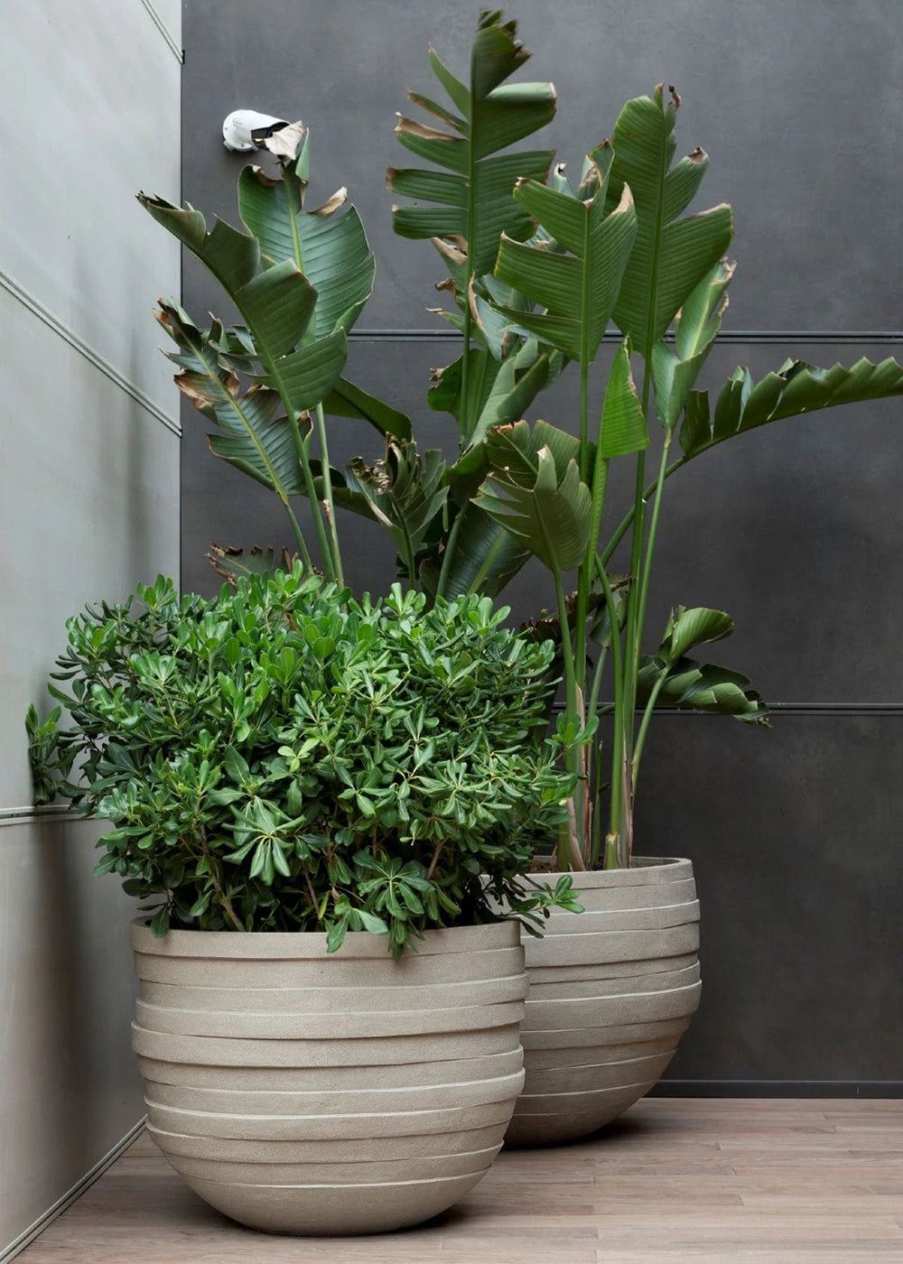 Handgefertigtes Terrakotta-Pflanzgefäß UF von Atelier Vierkant, frostbeständig durch speziellen Brennvorgang.