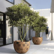 Handgefertigtes Pflanzgefäß UM von Atelier Vierkant aus frostfester Terrakotta mit klassisch runder Form.