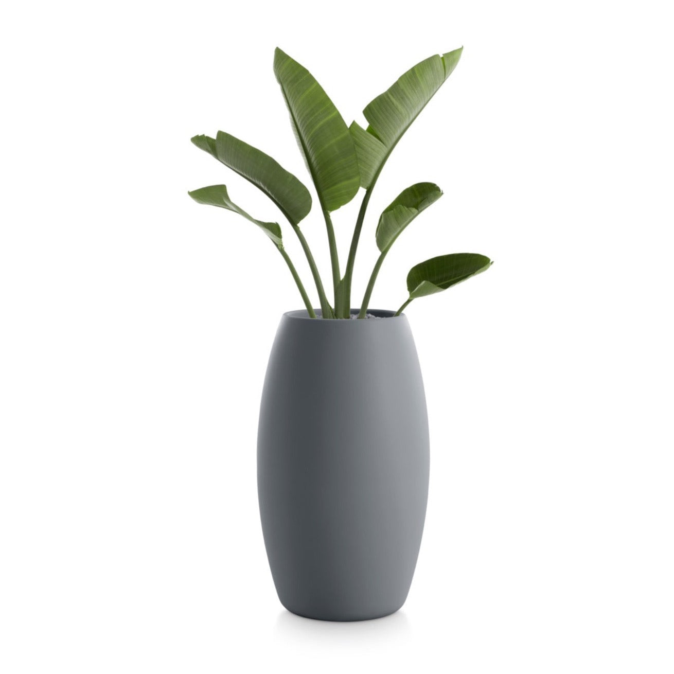 diabla I Gobi Blumentopf 60 cm, rund