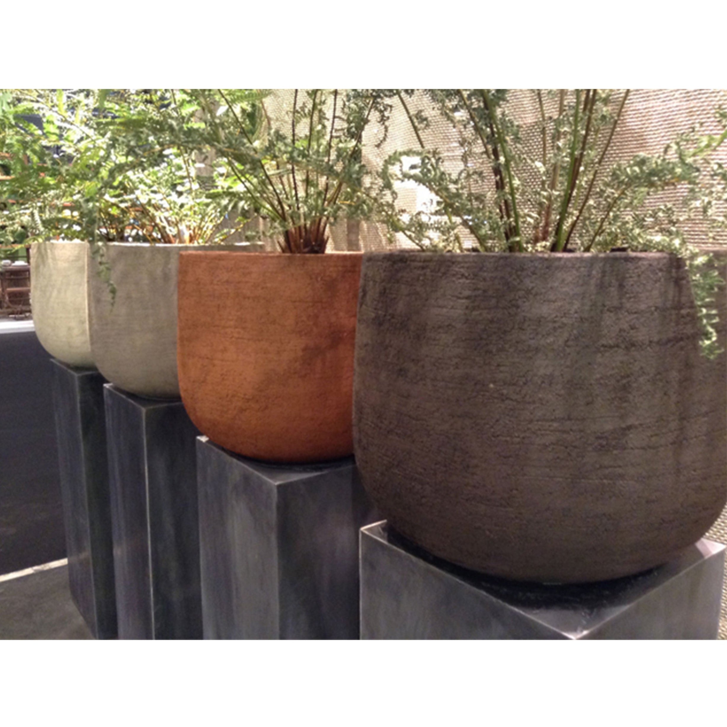 Beschreibung eines eleganten, frostbeständigen Pflanzgefäßes aus Belgien, geeignet für Innen- und Außenbereiche.