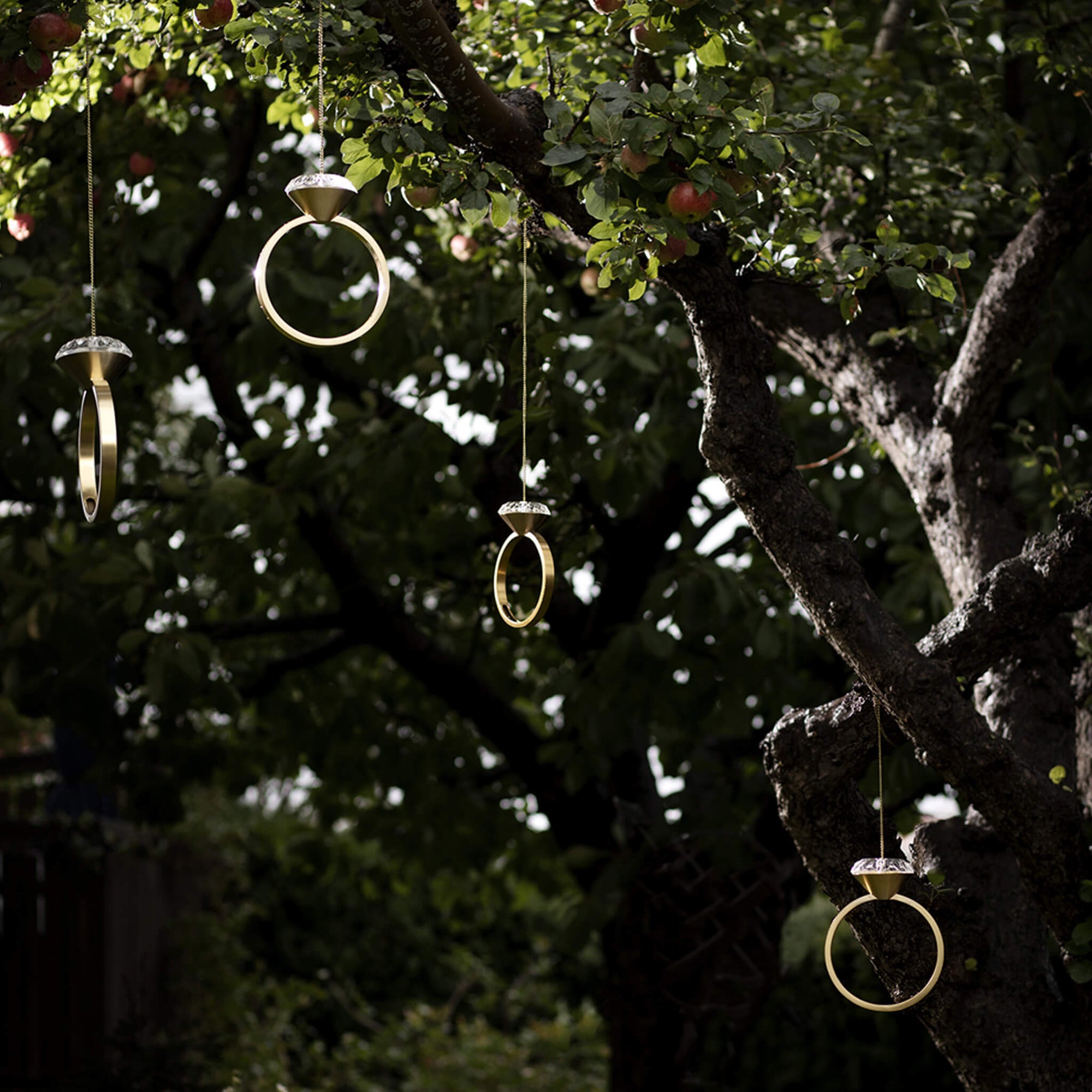 4 goldene Dimand Futterringe für Vögel hängen im Garten in den Bäumen.