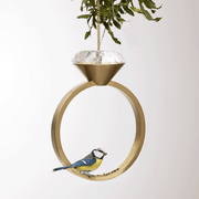 Ein goldener Vogel Futter Diamandring mit einer Blaumeise.