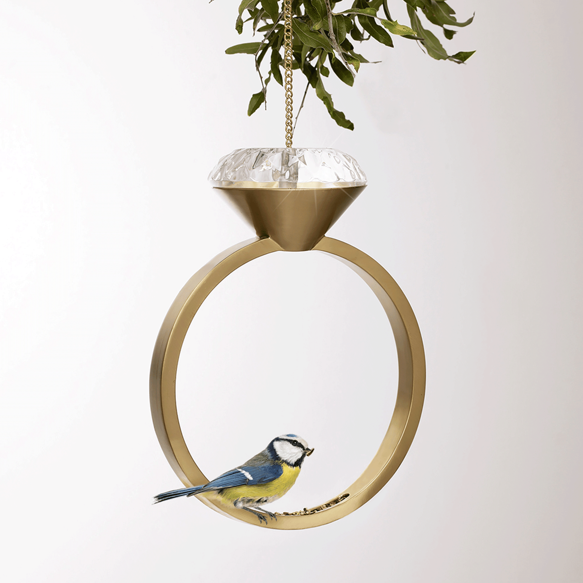 Ein goldener Vogel Futter Diamandring mit einer Blaumeise.