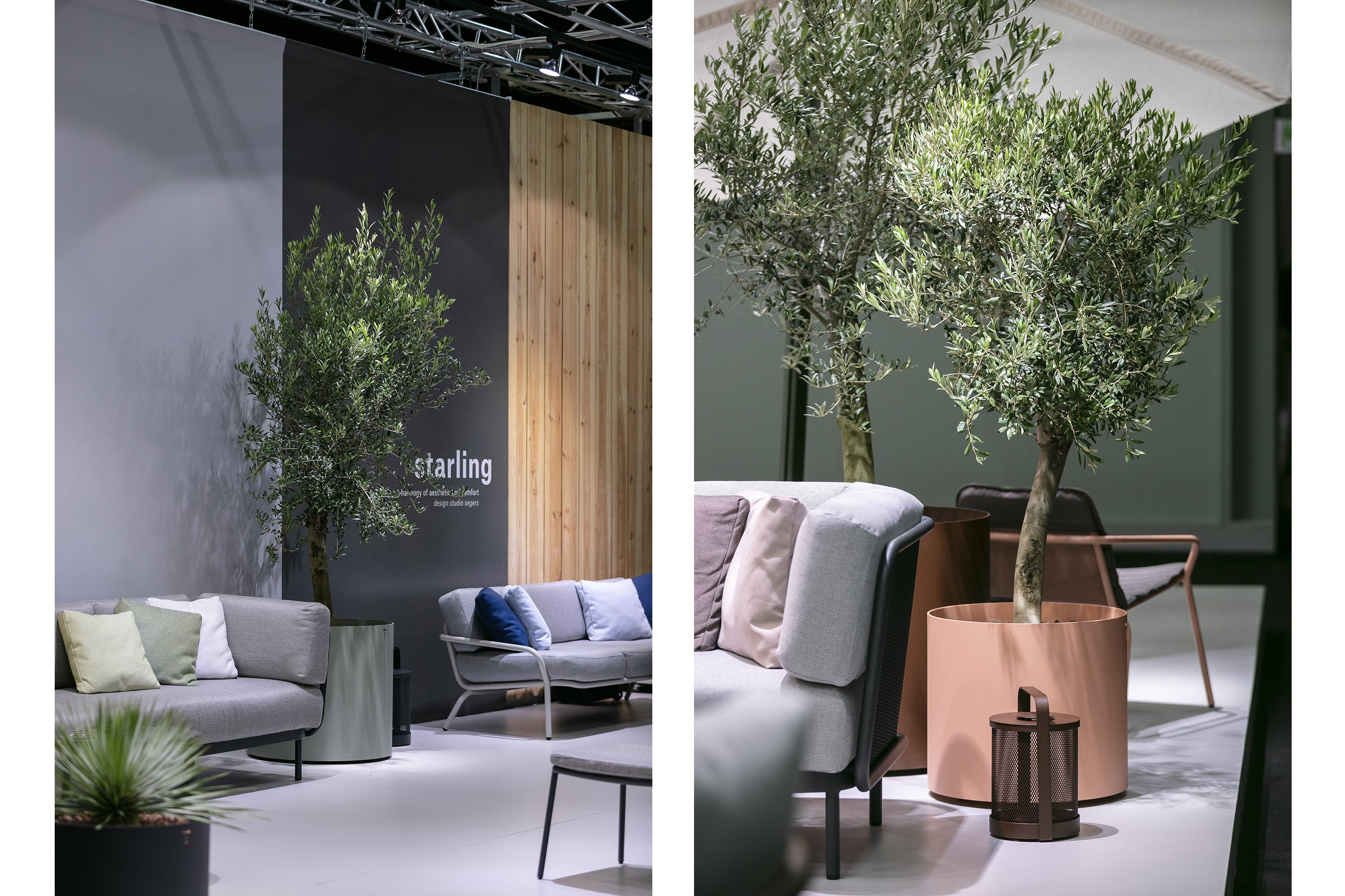 Todus I Verdi Blumentopf